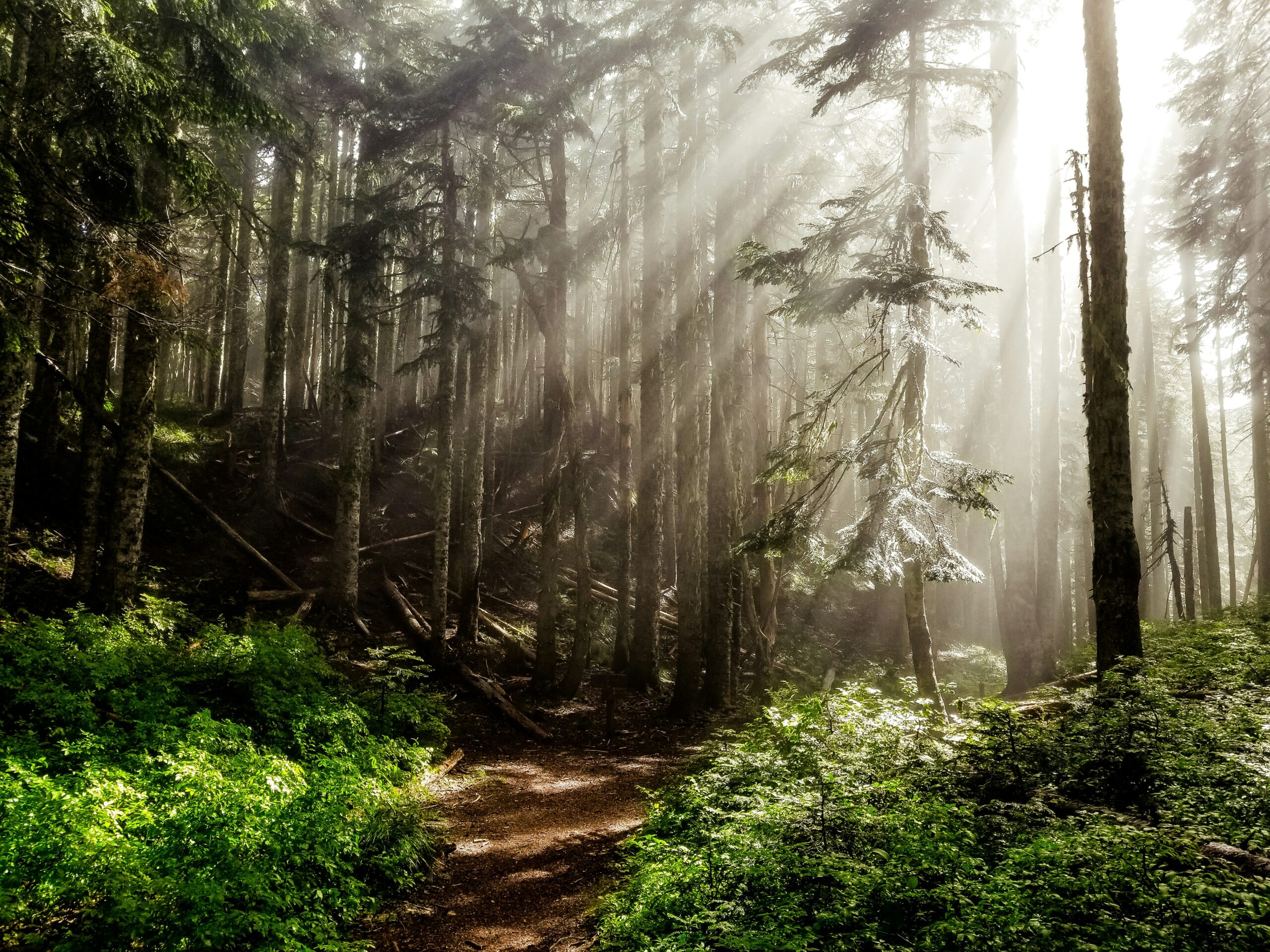 Hiking
